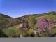 Diedenshausen (Bad Berleburg) 30.04.2025 12:51