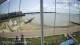 Brightlingsea 15.06.2025 12:51
