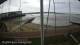 Brightlingsea 19.02.2025 12:51