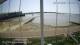 Brightlingsea 29.04.2025 12:51