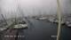 Egernsund 08.06.2025 12:51