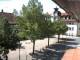 Rimbach 30.04.2025 12:45