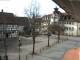 Rimbach 04.03.2025 12:45