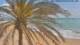 Vinaros 29.04.2025 12:45