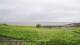 Laukvik 14.06.2025 12:52