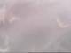 Fort Lauderdale, Florida 03.07.2025 12:49
