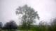 Harriman, New York 08.06.2025 12:51
