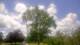 Harriman, New York 15.07.2025 12:51