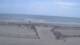 Margate City, New Jersey 29.04.2025 12:51