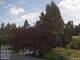 Son en Breugel 15.06.2025 13:46