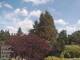 Son en Breugel 10.07.2025 13:46