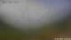 Pettneu 14.06.2025 13:46