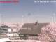 Suthfeld 10.05.2025 13:52