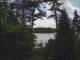 Hoel Pond, New York 10.07.2025 13:52