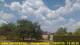 Kampenhout 09.07.2025 13:46