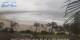 Bonny Hills 11.05.2025 13:53