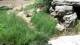 San Diego, California 10.07.2025 13:53