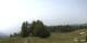 Radein 09.06.2025 13:53