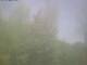 Ittigen 30.04.2025 13:46