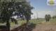Parme 14.06.2025 13:53