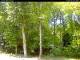 Hilversum 30.04.2025 13:54