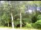 Hilversum 05.06.2025 13:54