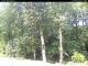 Hilversum 15.07.2025 13:00