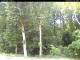 Hilversum 15.06.2025 13:53