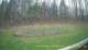 Tustin, Michigan 29.04.2025 13:54
