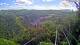 Kuranda 15.06.2025 13:53