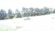 Pittsburg, Illinois 30.06.2025 13:59