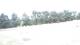 Pittsburg, Illinois 03.07.2025 13:59