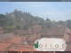 Soave 16.05.2025 13:54