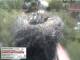 Aurach 08.05.2025 13:54