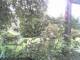 Cuxhaven 14.06.2025 13:54