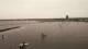 Ouddorp 19.05.2025 13:01