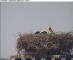 Gengenbach 30.04.2025 13:55