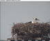 Gengenbach 29.04.2025 13:55