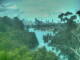Linley Point 30.06.2025 13:54