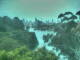 Linley Point 14.07.2025 13:05