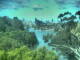 Linley Point 03.07.2025 13:54