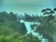 Linley Point 08.07.2025 13:54