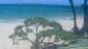 Paia, Hawaii 02.07.2025 13:55