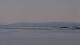 Nice 29.04.2025 13:56