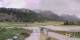 La Salle-les-Alpes 15.06.2025 13:56