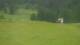 Crévoux 15.06.2025 13:56