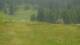 Crévoux 08.06.2025 13:57