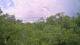 Metairie, Louisiana 14.06.2025 13:09