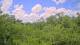 Metairie, Louisiana 30.04.2025 13:09