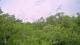 Metairie, Louisiana 30.04.2025 13:09
